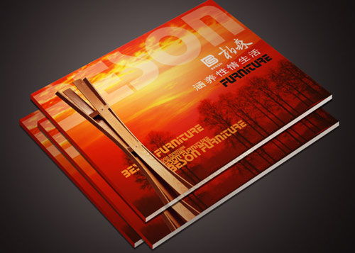 東莞網(wǎng)絡(luò)科技畫冊印刷 技術(shù)開發(fā)與產(chǎn)品宣傳的專業(yè)載體